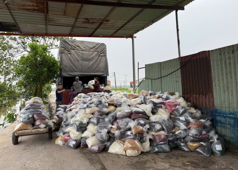 Vụ án 100 tấn thực phẩm chức năng giả: Cán bộ hải quan nhận hối lộ 1,5 tỷ đồng